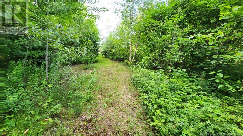 7.6 Acres Rue Pinet, Bertrand, New Brunswick  E1X 1L3 - Photo 2 - NB103554