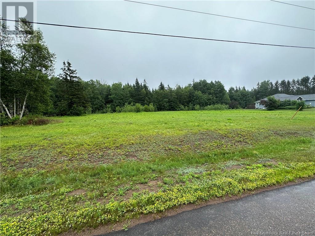 Lot Chevalier Road, Mcintosh Hill, New Brunswick  E4S 4K1 - Photo 3 - M161244