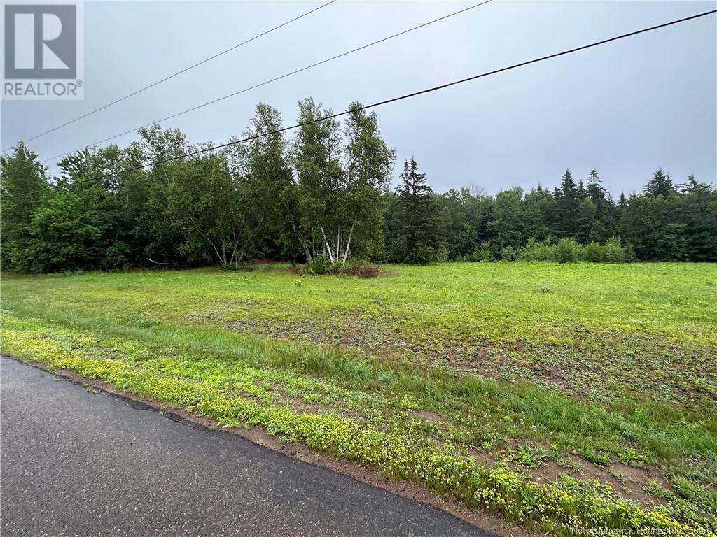 Lot Chevalier Road, Mcintosh Hill, New Brunswick  E4S 4K1 - Photo 4 - M161244