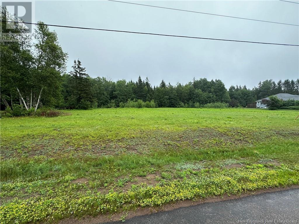 Lot Chevalier Road, Mcintosh Hill, New Brunswick  E4S 4K1 - Photo 5 - M161244