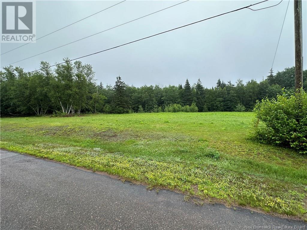 Lot Chevalier Road, Mcintosh Hill, New Brunswick  E4S 4K1 - Photo 6 - M161244