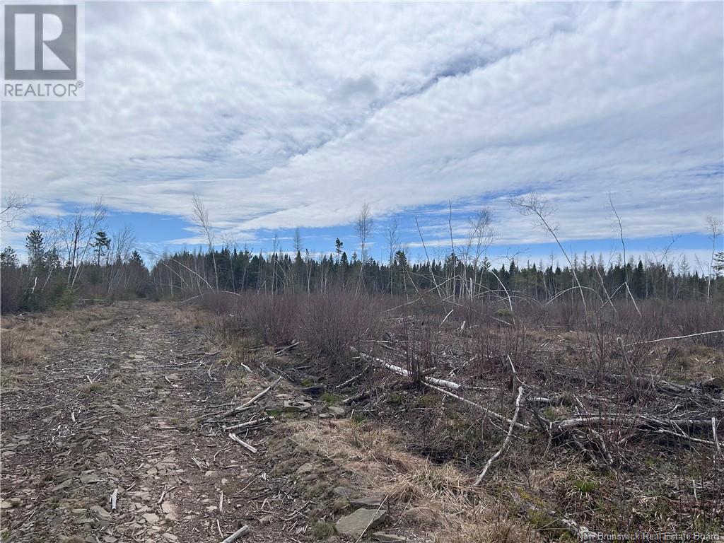 Lot 2 Coy Road, Ripples, New Brunswick  E4B 1T2 - Photo 1 - NB103591