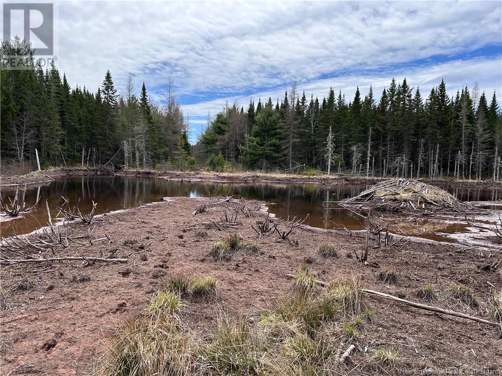 Lot 2 Coy Road, Ripples, New Brunswick  E4B 1T2 - Photo 3 - NB103591