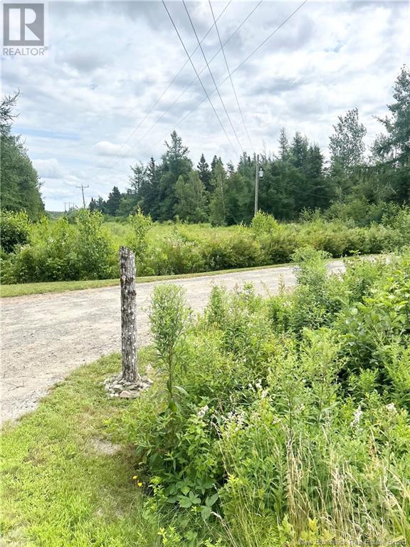 534 North Black River Road, Black River Bridge, New Brunswick  E1N 5S5 - Photo 10 - NB103615