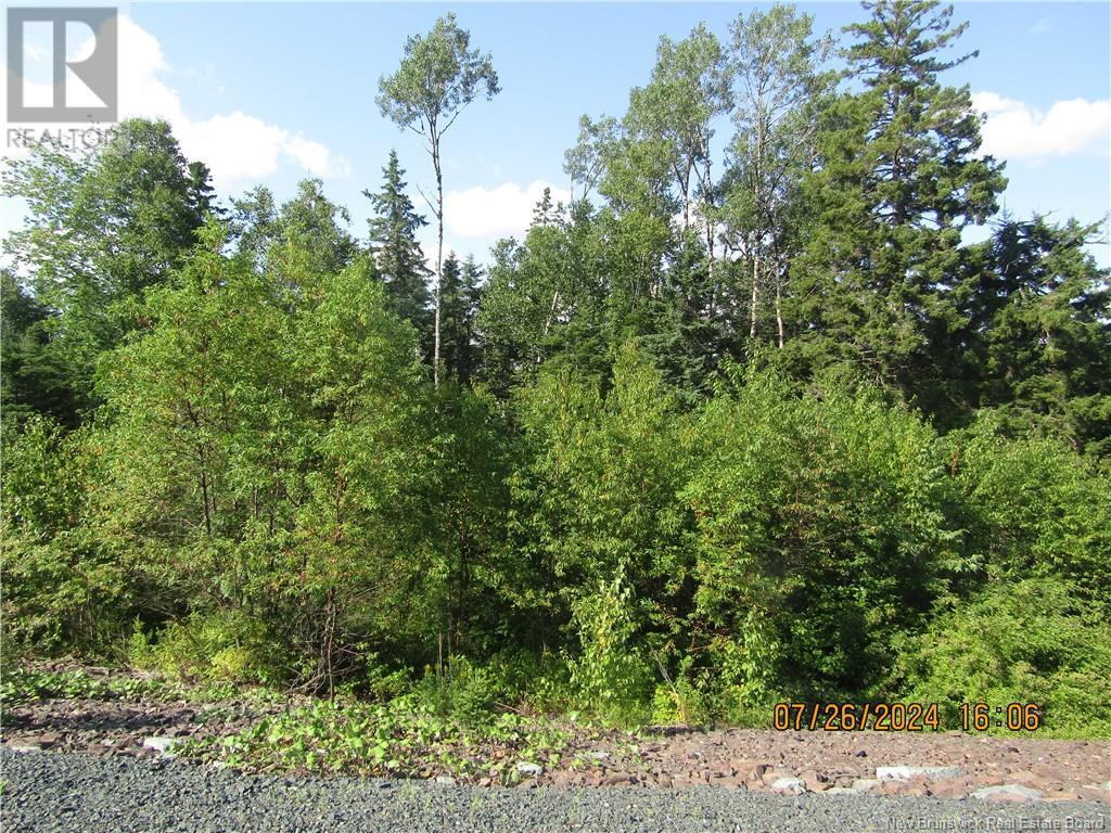 Lot #1 Highway/manor Road, St George, New Brunswick  E5C 3H6 - Photo 3 - NB103692