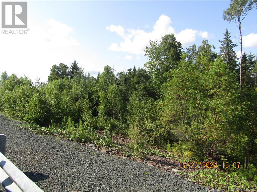 Lot #1 Highway/manor Road, St George, New Brunswick  E5C 3H6 - Photo 4 - NB103692