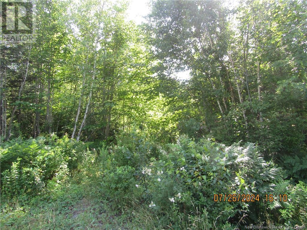 Lot #1 Highway/manor Road, St George, New Brunswick  E5C 3H6 - Photo 6 - NB103692