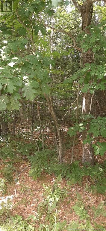 Lot 24-2 Route 102, Gagetown, New Brunswick  E5M 1J9 - Photo 2 - NB103727