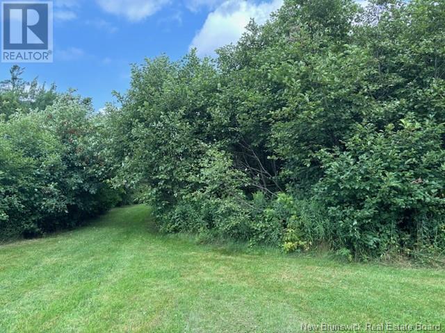 Lot 1 Adair Road, Penobsquis, New Brunswick  E4G 1Y3 - Photo 6 - NB103772