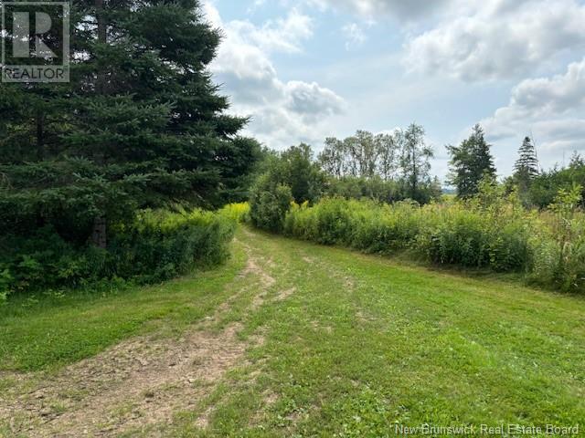 Lot 1 Adair Road, Penobsquis, New Brunswick  E4G 1Y3 - Photo 8 - NB103772