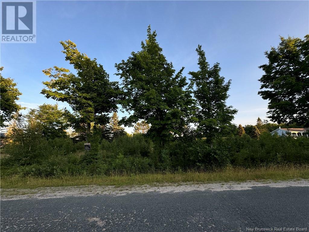 Lot Young Ridge Road, Rogersville, New Brunswick  E4Y 1T3 - Photo 11 - NB103619