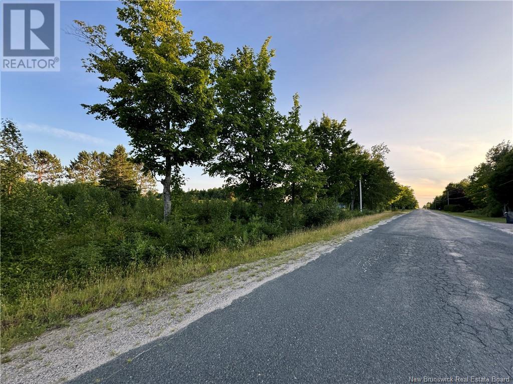 Lot Young Ridge Road, Rogersville, New Brunswick  E4Y 1T3 - Photo 3 - NB103619