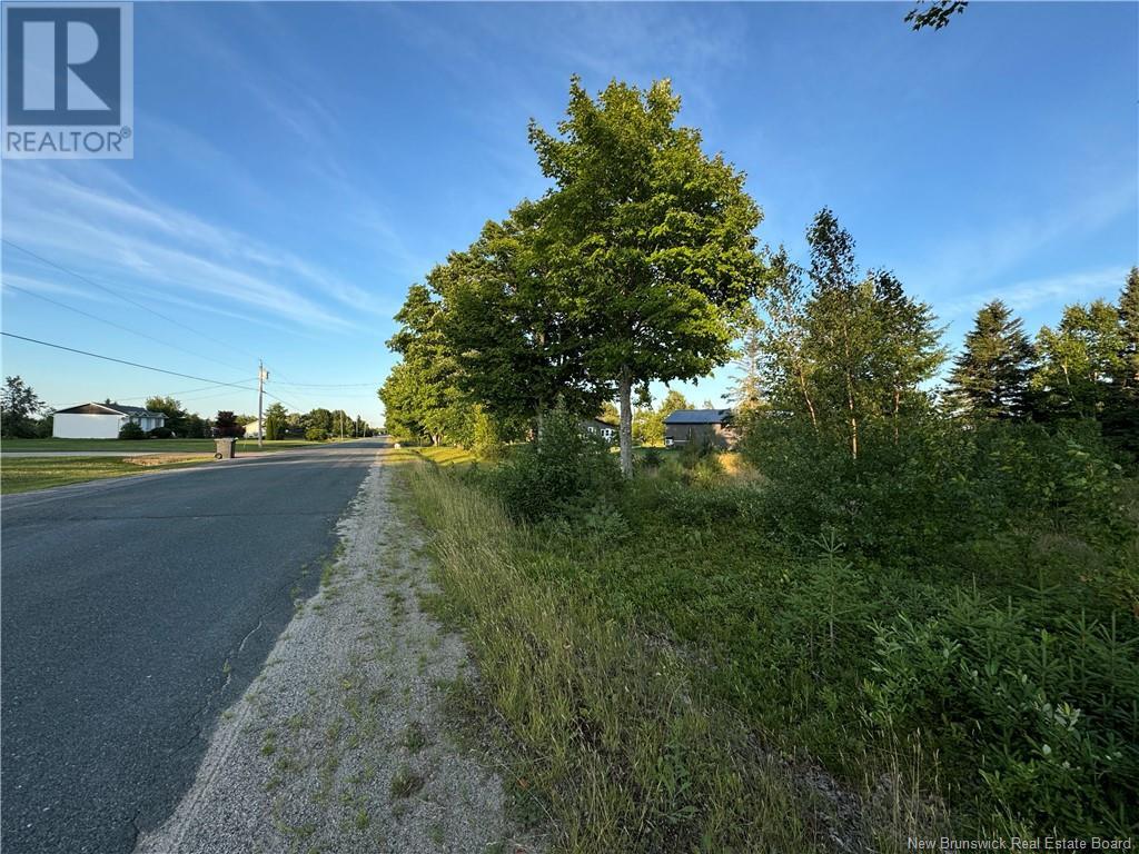 Lot Young Ridge Road, Rogersville, New Brunswick  E4Y 1T3 - Photo 4 - NB103619