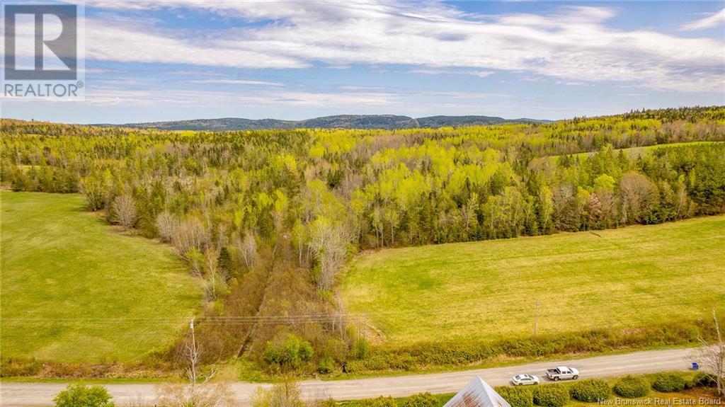 Lot Upper Waweig Road, Waweig, New Brunswick  E3L 4N1 - Photo 4 - NB103040