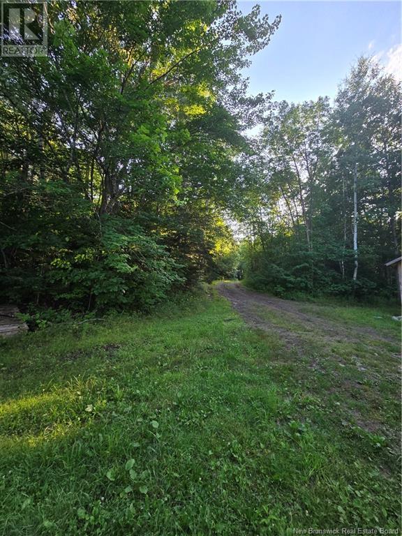 Lot Whitcomb Lane, Upper Gagetown, New Brunswick  E5M 1M8 - Photo 13 - NB103787