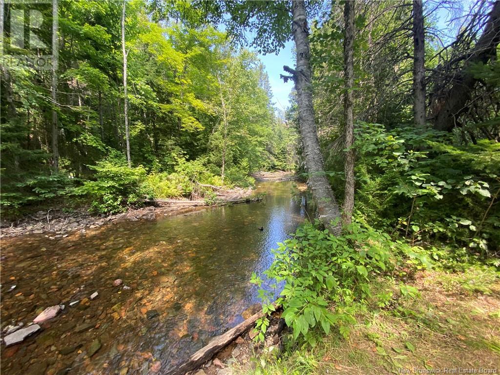 Land Archibald Road, Belledune, New Brunswick  E8G 1W5 - Photo 1 - NB103752