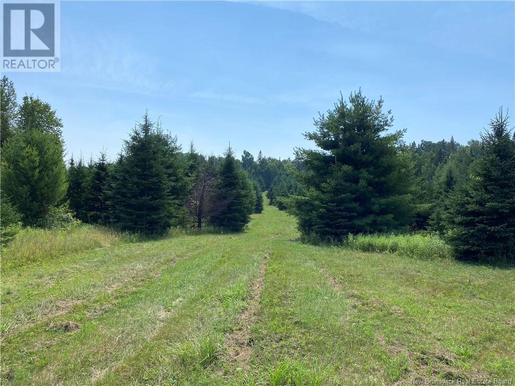 Land Archibald Road, Belledune, New Brunswick  E8G 1W5 - Photo 10 - NB103752