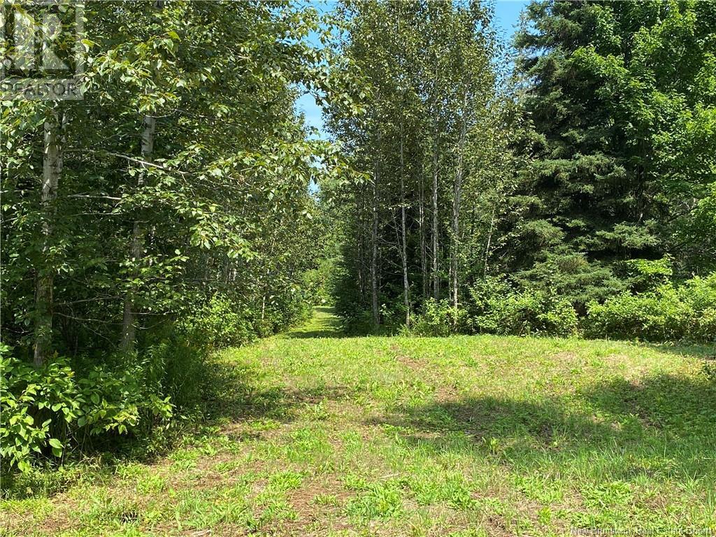 Land Archibald Road, Belledune, New Brunswick  E8G 1W5 - Photo 5 - NB103752