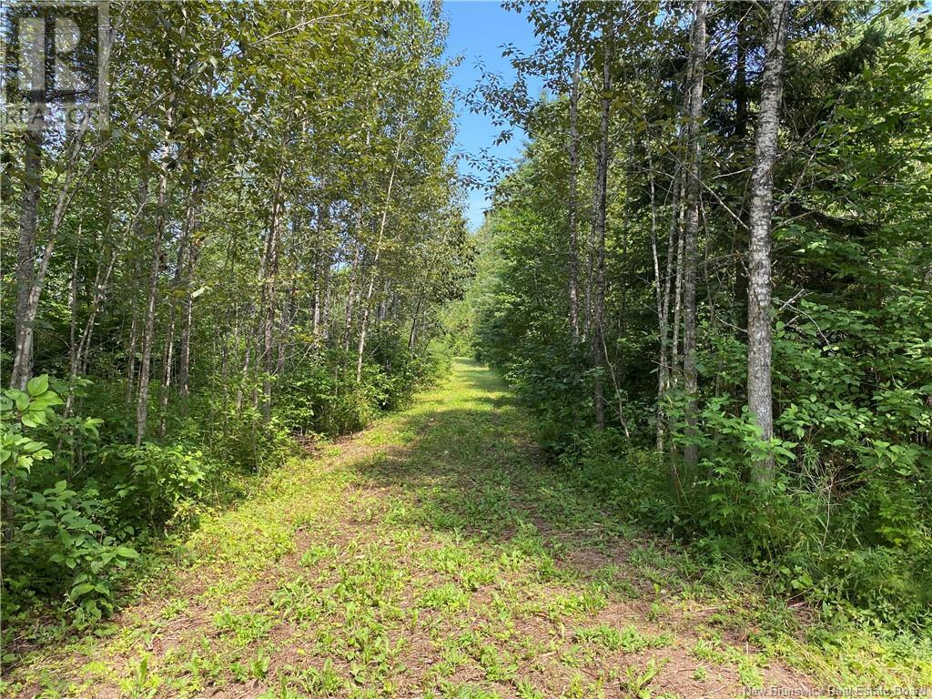 Land Archibald Road, Belledune, New Brunswick  E8G 1W5 - Photo 6 - NB103752