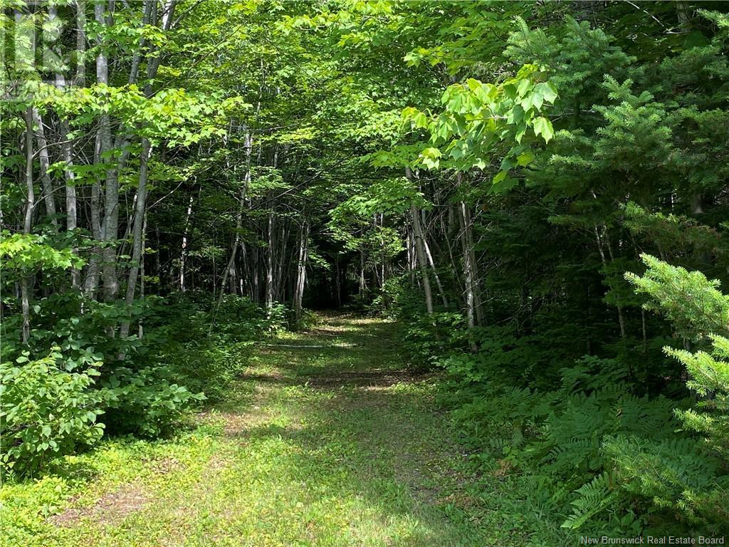 Land Archibald Road, Belledune, New Brunswick  E8G 1W5 - Photo 8 - NB103752