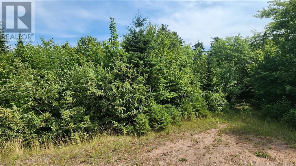 30 acres Grand Carey Road, six roads, New Brunswick