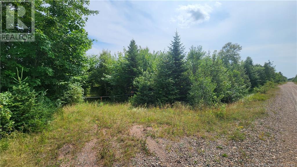 30 Acres Grand Carey Road, Six Roads, New Brunswick  E1X 3A2 - Photo 3 - NB103833