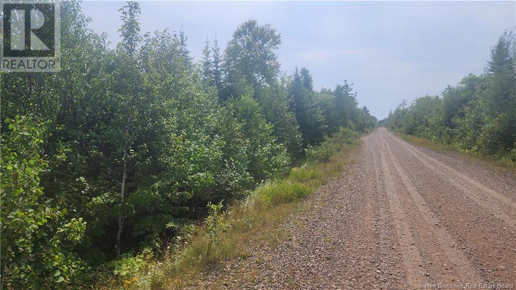 30 Acres Grand Carey Road, Six Roads, New Brunswick  E1X 3A2 - Photo 4 - NB103833