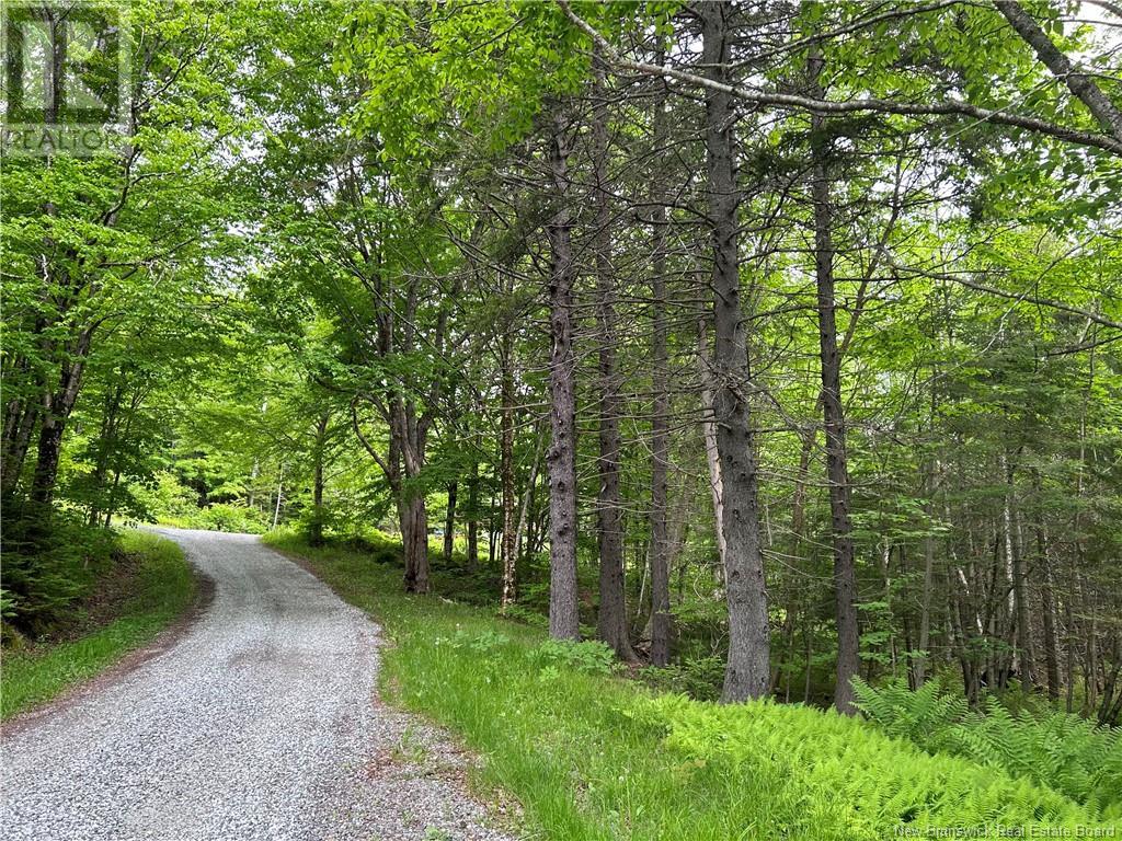 - Mount Misery Road, Kingston, New Brunswick  E5N 1G8 - Photo 2 - NB103905