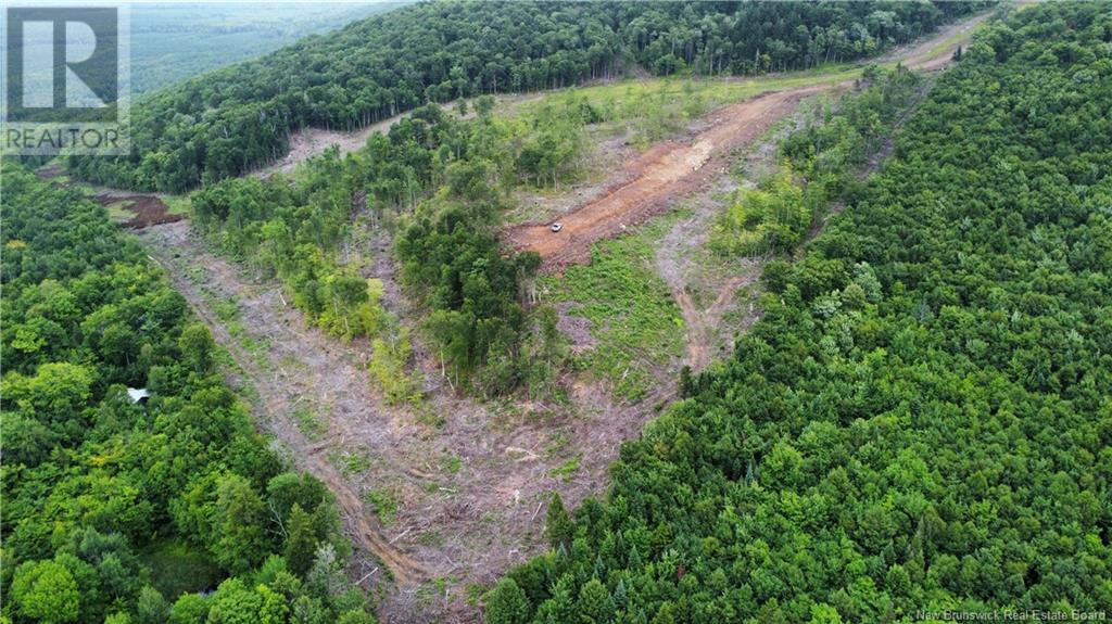 Lot 13 Crabbe Mountain, Central Hainesville, New Brunswick  E6E 1E3 - Photo 1 - NB103931