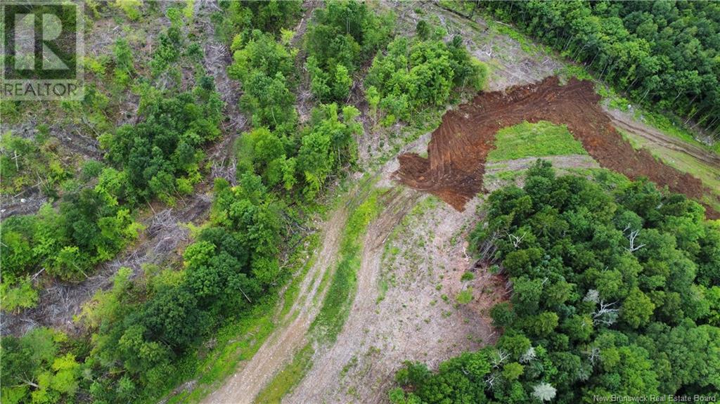 Lot 13 Crabbe Mountain, Central Hainesville, New Brunswick  E6E 1E3 - Photo 11 - NB103931