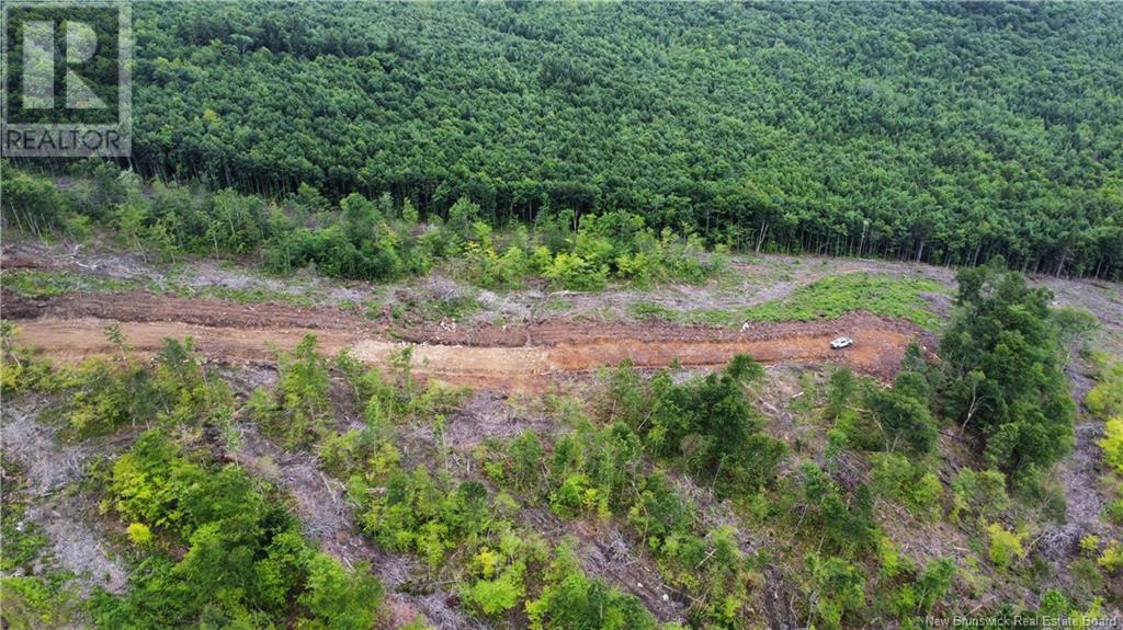 Lot 13 Crabbe Mountain, Central Hainesville, New Brunswick  E6E 1E3 - Photo 13 - NB103931