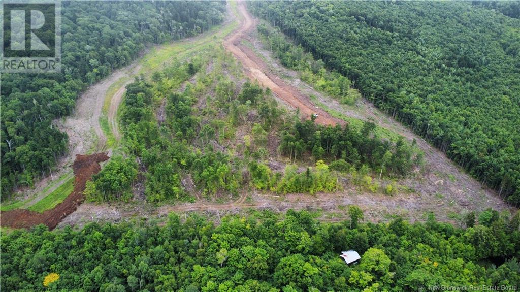 Lot 13 Crabbe Mountain, Central Hainesville, New Brunswick  E6E 1E3 - Photo 6 - NB103931