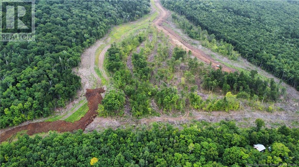 Lot 13 Crabbe Mountain, Central Hainesville, New Brunswick  E6E 1E3 - Photo 7 - NB103931