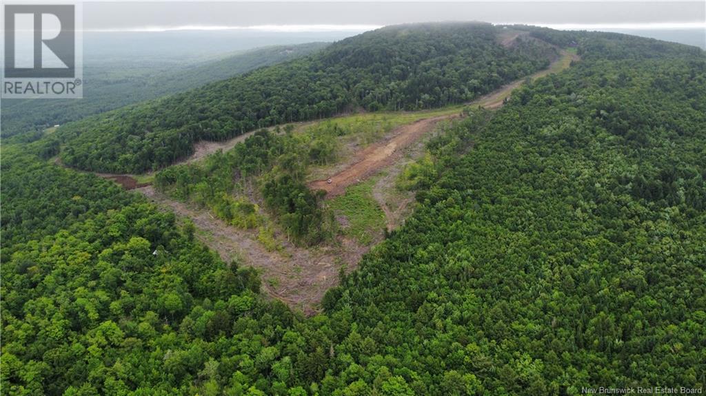 Lot 16 Crabbe Mountain, Central Hainesville, New Brunswick  E6E 1E3 - Photo 2 - NB103927