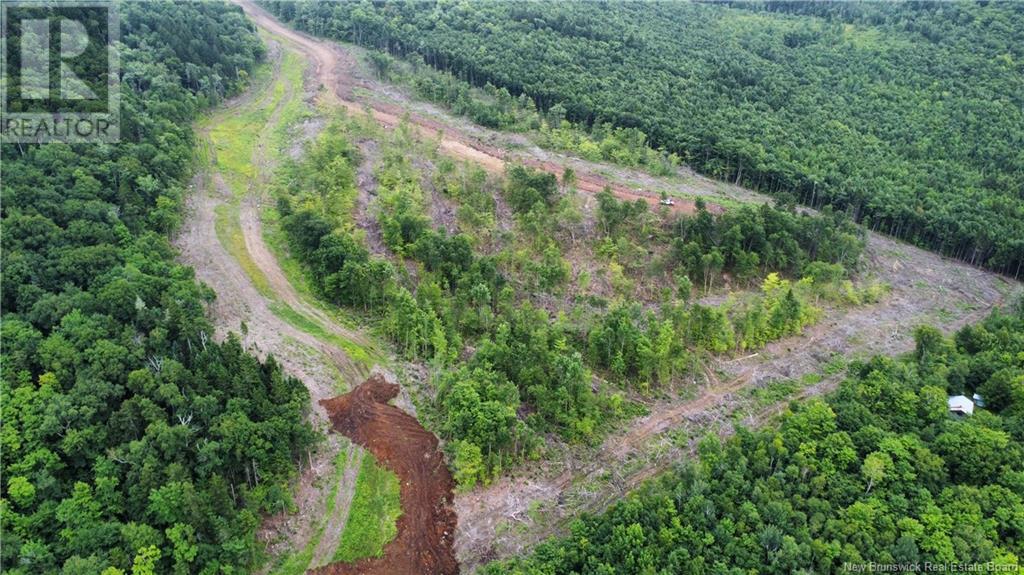 Lot 19 Crabbe Mountain, Central Hainesville, New Brunswick  E6E 1E3 - Photo 1 - NB103924