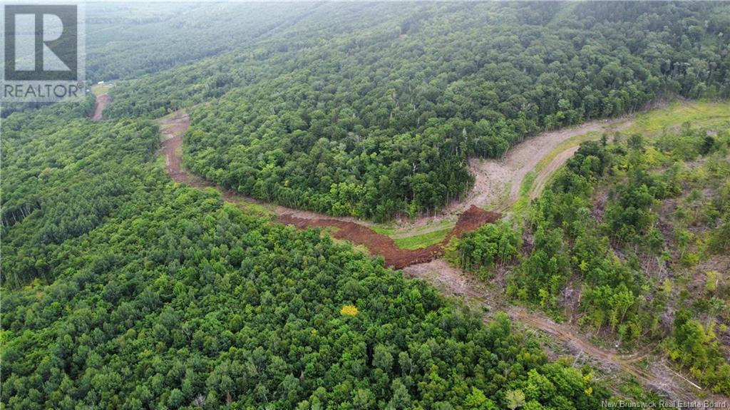 Lot 19 Crabbe Mountain, Central Hainesville, New Brunswick  E6E 1E3 - Photo 11 - NB103924