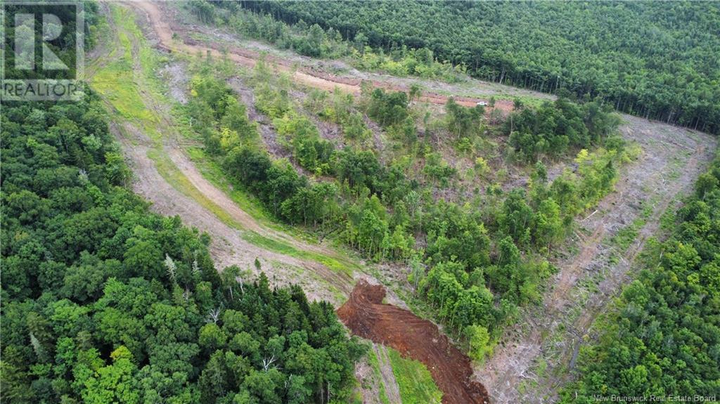 Lot 19 Crabbe Mountain, Central Hainesville, New Brunswick  E6E 1E3 - Photo 2 - NB103924