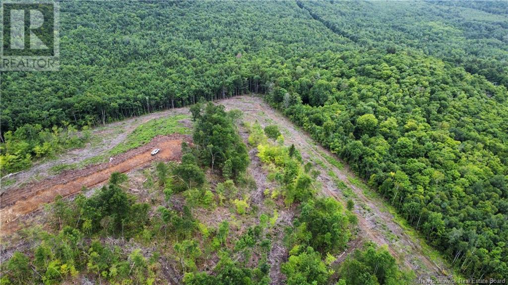 Lot 20 Crabbe Mountain, Central Hainesville, New Brunswick  E6E 1E3 - Photo 5 - NB103923