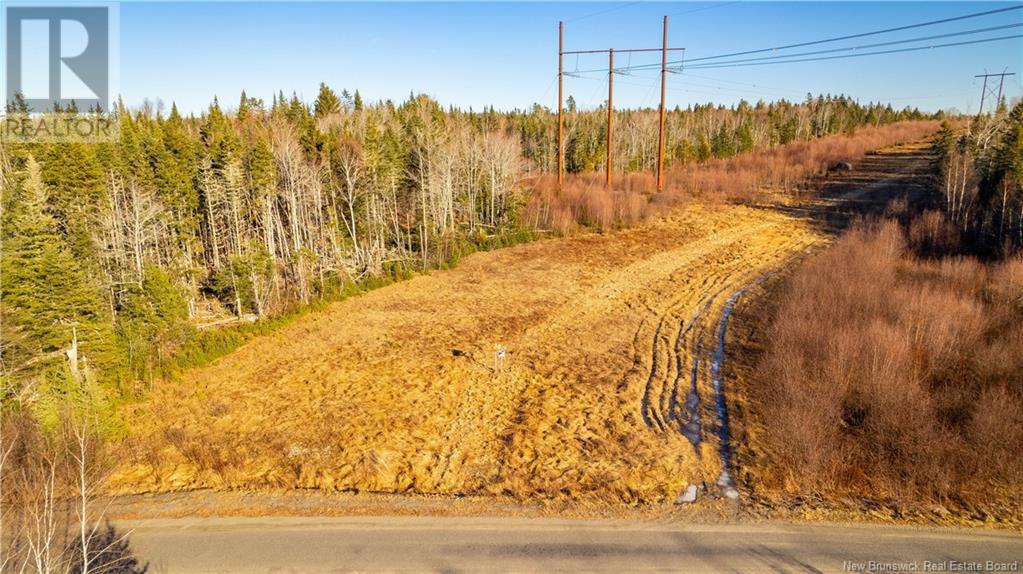 Vacant Land Boyd Road, Clarence Ridge, New Brunswick  E5A 2G8 - Photo 16 - NB103898