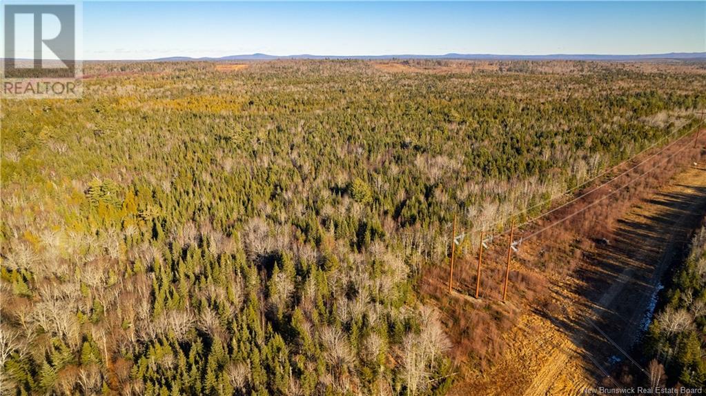 Vacant Land Boyd Road, Clarence Ridge, New Brunswick  E5A 2G8 - Photo 17 - NB103898