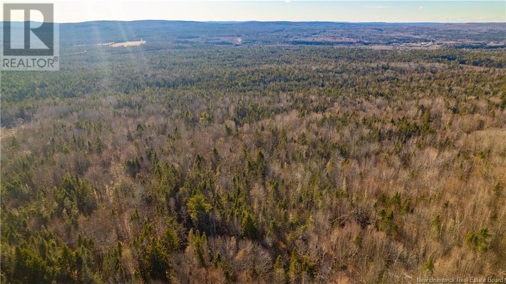 Vacant Land Boyd Road, Clarence Ridge, New Brunswick  E5A 2G8 - Photo 24 - NB103898