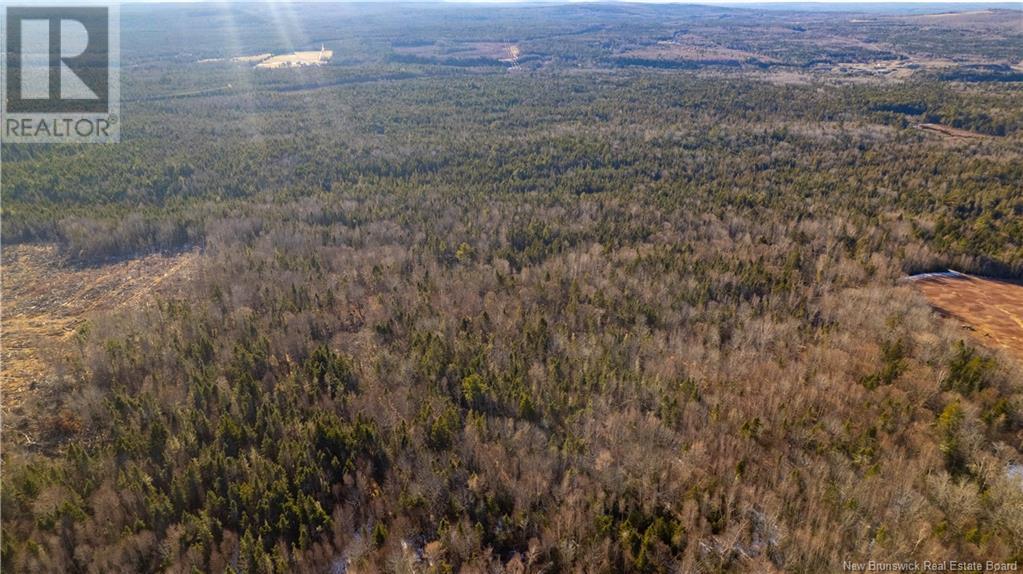 Vacant Land Boyd Road, Clarence Ridge, New Brunswick  E5A 2G8 - Photo 27 - NB103898