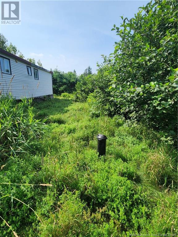 531 Route 636, Harvey, New Brunswick  E6K 2A6 - Photo 3 - NB103902