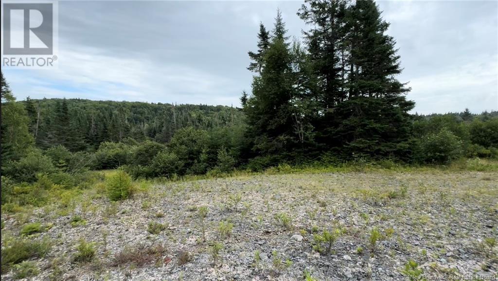 Lot Nicol Lane, Saint John, New Brunswick  E2S 1N5 - Photo 14 - NB103957