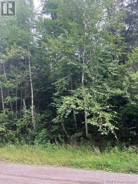 Lot 22-2 Girouardville Road, bouctouche, New Brunswick