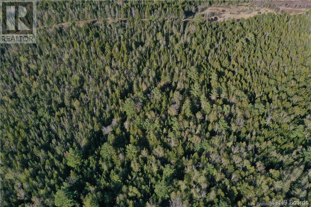 172 Lily Hill Road, Oak Bay, New Brunswick  E3L 4E6 - Photo 7 - NB104022