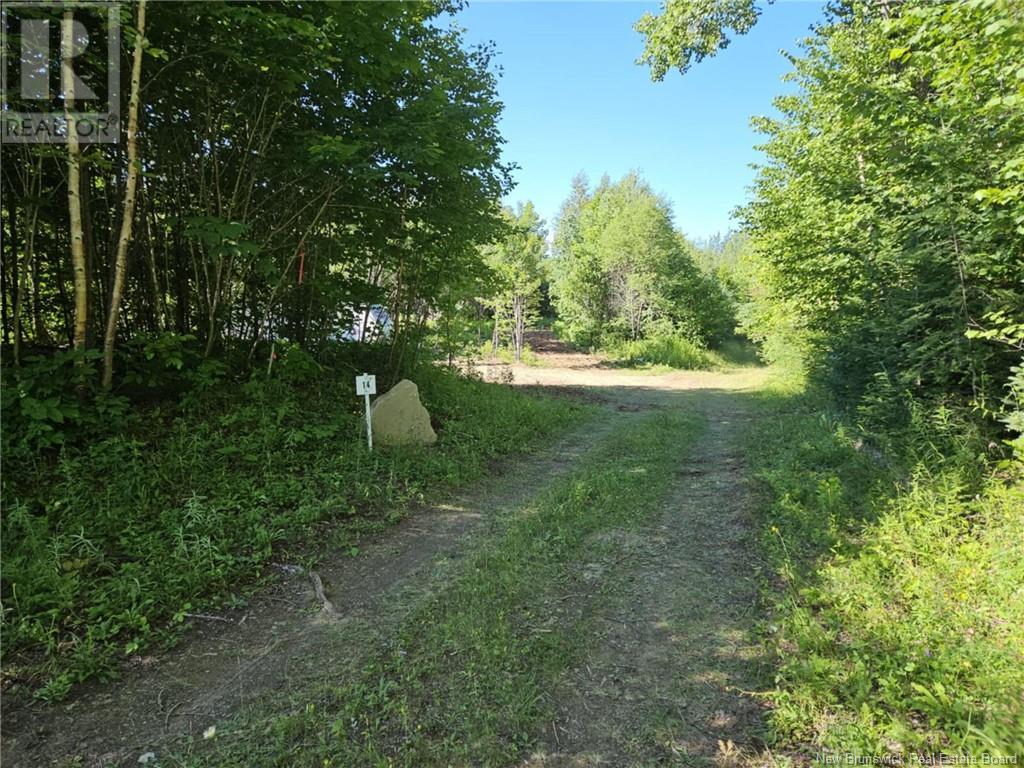 Lot 24-14 Upper Skiff Lake Road, Canterbury, New Brunswick  E6H 1R7 - Photo 2 - NB104097