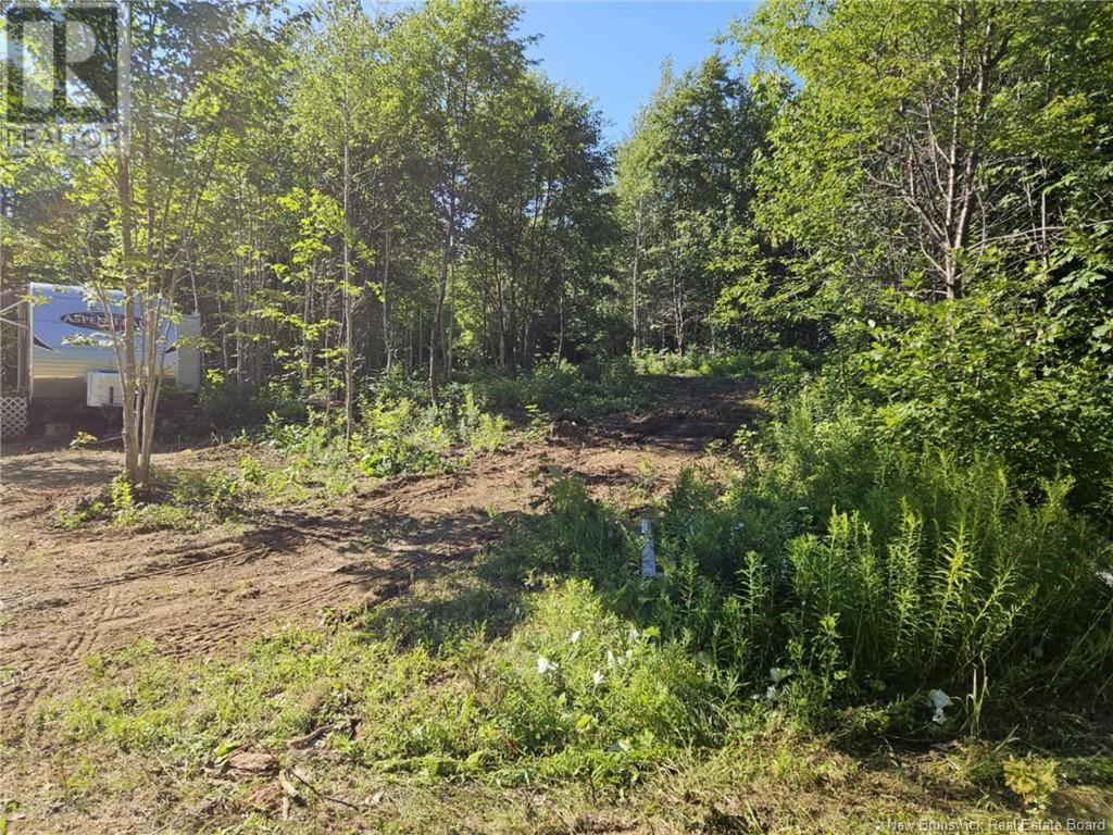 Lot 24-14 Upper Skiff Lake Road, Canterbury, New Brunswick  E6H 1R7 - Photo 6 - NB104097