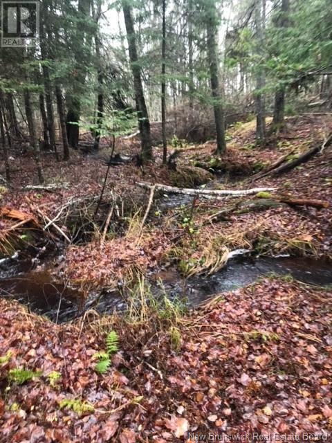 Lot Scotchtown Road, Scotchtown, New Brunswick  E4A 1S5 - Photo 14 - NB104118