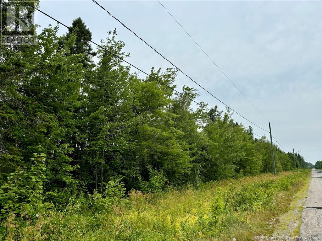 25.2 acres Rte 445, fairisle, New Brunswick